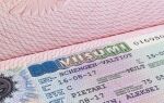 Шенгенская виза в Финляндию в Санкт-Петербурге